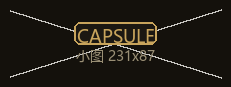 Steam 小图 Capsule
